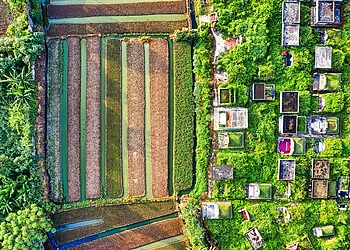 Aerial View of Cropland in Indonesia