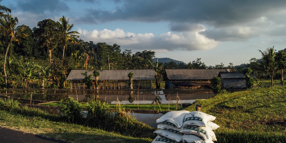 A farm in Southeast Asia