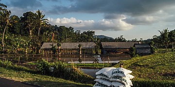 A farm in Southeast Asia