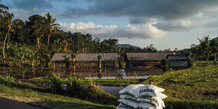 A farm in Southeast Asia