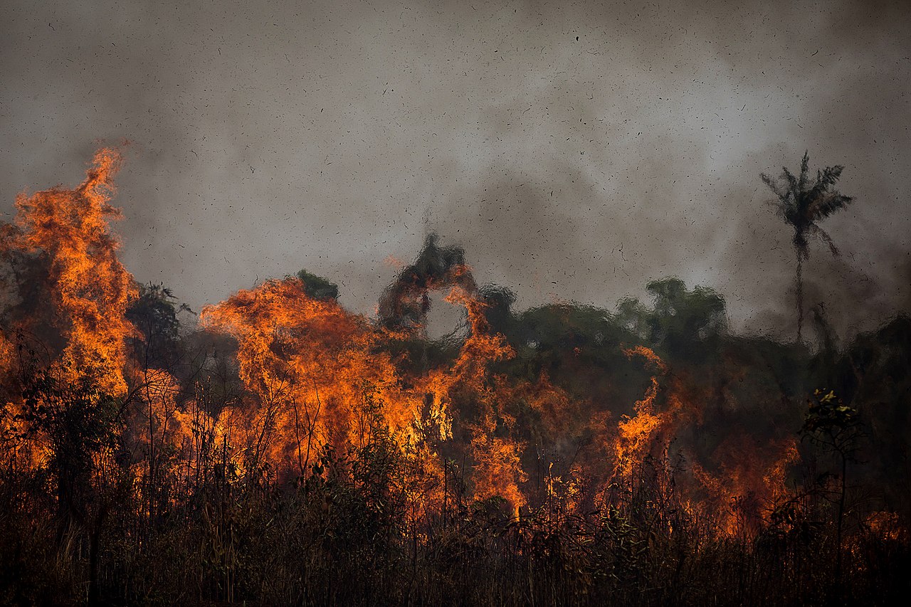 Wildfires burn near Porto Velho, Brazil, in August 2020.
