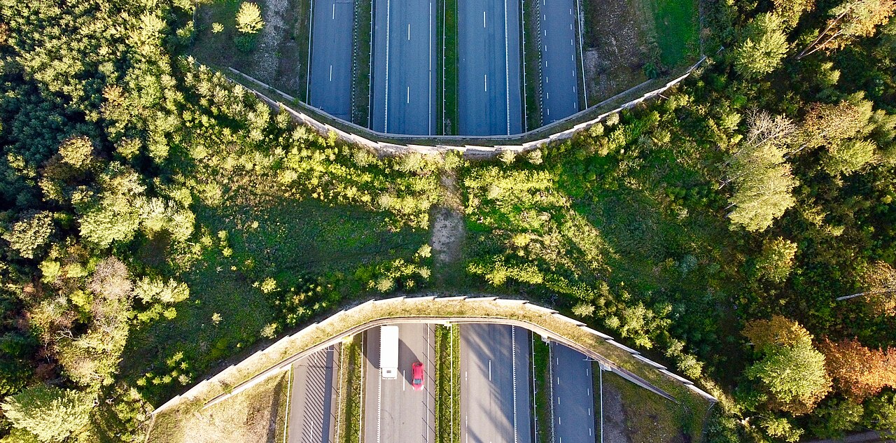 a wildlife crossing over a highway in Estonia