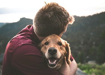 Men hugging his golden retriever while sitting on the floor, a the top of a hill overlooking a green valley.
