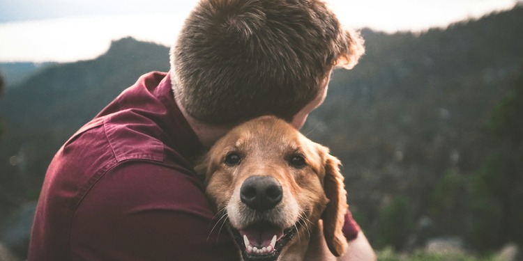 Men hugging his golden retriever while sitting on the floor, a the top of a hill overlooking a green valley.