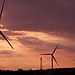ESG news regarding US reallocation of capital from wind energy into fossil fuels, EU plans to boost competition enforcement in AI and cloud services, World Bank climate bond to fund South African Restoration Project, and Indigenous leaders warning against clean energy extractivism