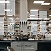 How Georgia Made One Health a Priority