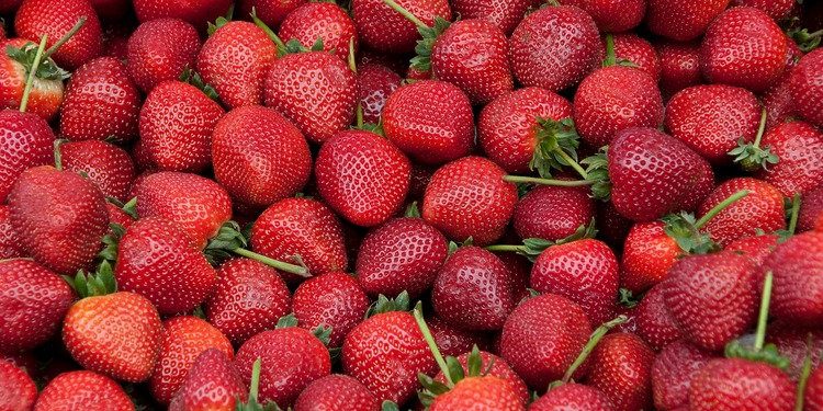 Srawberries were found to have the widest variety of PFAS pesticides compared to any other non-organic, California-prouduced crop