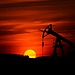ESG news regarding Saudi Arabia setting to cut Asia crude prices as war-driven premiums fade, luxury leather supply chain facing scrutiny over Paraguay deforestation links, first LNG tanker clearing Hormuz since war, and mass legal claim being filed over river Wye pollution blamed on poultry waste.