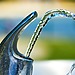 ESG news regarding Trump’s EPA deregulating forever chemicals in drinking water, the EU’s fertiliser problem, South Africa’s Coega partnership with Danish Topsoe, and Volvo’s $197 million settlement