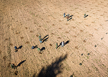 Nature Is Hiring: Why Investing in Biodiversity Means Investing in Jobs