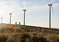Wind farm in America