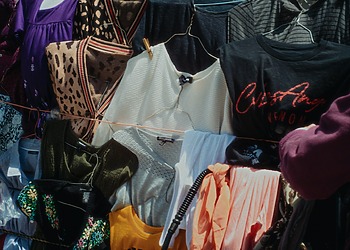ESG news regarding Shein’s acquisition of Everlane, Italy increasing its stake in payments group Nexi, climate change threatening global plant habitats, and India’s concerns over fuel and foreign exchange pressures.