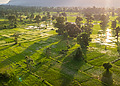 agrifood systems biodiversity