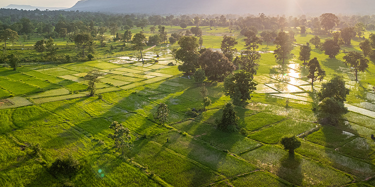 agrifood systems biodiversity