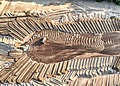 Aerial view of sand mining operations with machinery and patterned landscape in Reads Landing, MN.