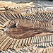 Aerial view of sand mining operations with machinery and patterned landscape in Reads Landing, MN.