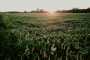 ESG news regarding a carbon trading deal between the Philippines and Singapore to boost climate investment, ADB support for Pacific countries facing fuel shortages, a $70 billion Asia-Pacific infrastructure push, and U.S. biofuel targets straining biodiesel supply.