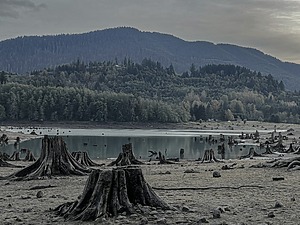 ESG news regarding Trump rollback of toxic pollution rules cutting EPA authority, EU considering carbon pricing for international flights to level playing field, charities demanding new Clean Air Act to ban wood burning and diesel vehicles, and Brazil delaying satellite monitoring rule for rural loans amid industry pressure. 