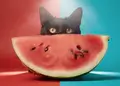 cat with a watermelon build using Flux2