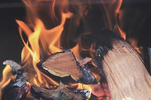ESG news regarding Trump rollback of toxic pollution rules cutting EPA authority, EU considering carbon pricing for international flights to level playing field, charities demanding new Clean Air Act to ban wood burning and diesel vehicles, and Brazil delaying satellite monitoring rule for rural loans amid industry pressure. 