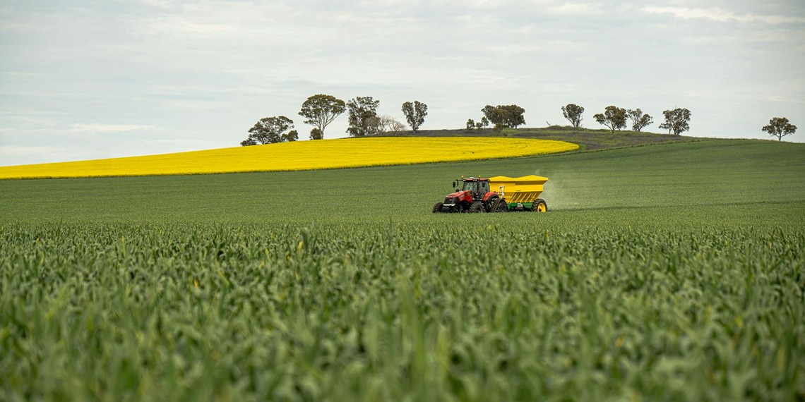 ESG news regarding free carbon permits to fertiliser producers, Australia loosening sustainability disclosures for small businesses, Meloni pushing for new energy regulation, and India slowing hiring due to AI