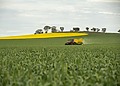 ESG news regarding free carbon permits to fertiliser producers, Australia loosening sustainability disclosures for small businesses, Meloni pushing for new energy regulation, and India slowing hiring due to AI