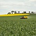 ESG news regarding free carbon permits to fertiliser producers, Australia loosening sustainability disclosures for small businesses, Meloni pushing for new energy regulation, and India slowing hiring due to AI