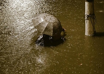 How Climate Disasters Are Undermining Democracy Worldwide