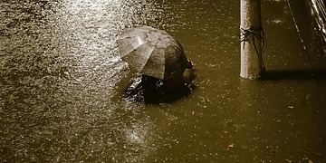 How Climate Disasters Are Undermining Democracy Worldwide