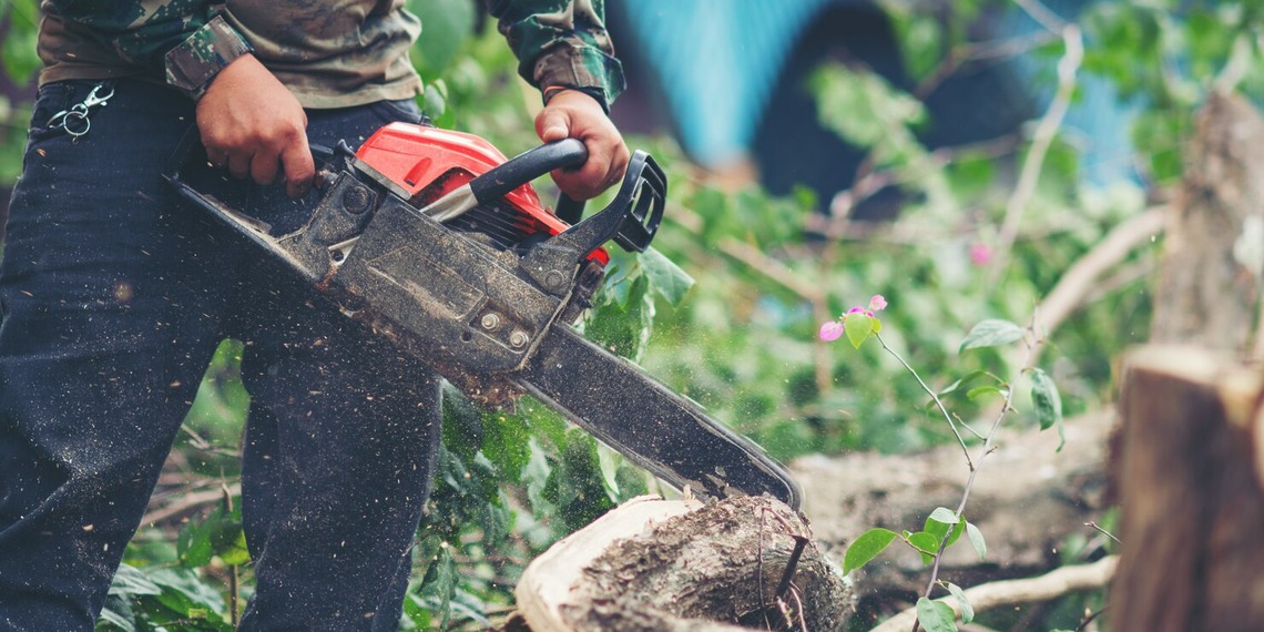 Man with a chainsaw tree trimming around his home.