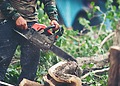 Man with a chainsaw tree trimming around his home.