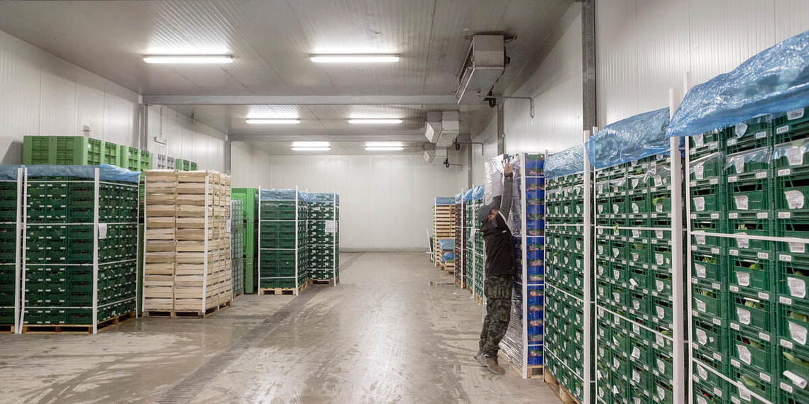 A worker checks radish boxes in cold storage at the Agricola Semplice San Donato.