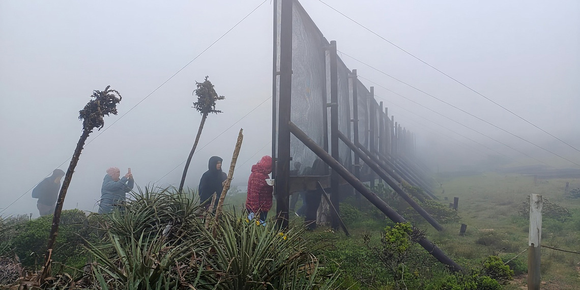 Fog catchers in Chile
