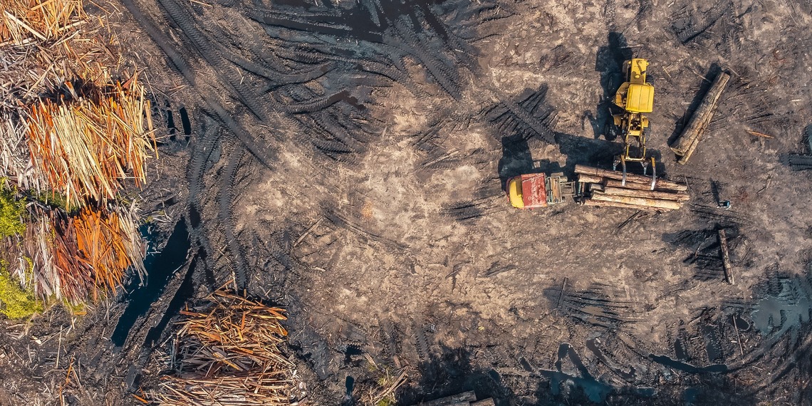 Aerial shot depicting heavy machinery in a deforested area. As the EUDR enters a new implementation phase, debates on deforestation are shifting from compliance toward broader international cooperation.
