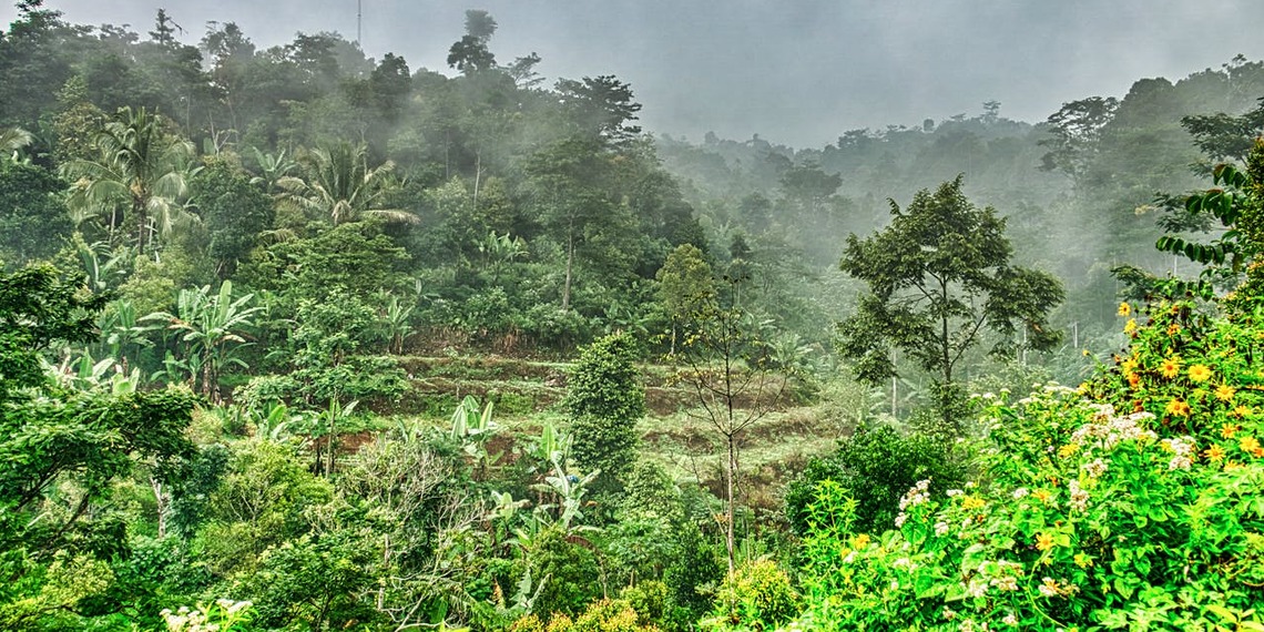 ESG news regarding the impact of biodiversity loss on global debt costs, a new UN report on the environmental cost of the AI Boom, Norway’s response to new U.S. tariff proposals and NBIM’s calls for Single Global Sustainability Report