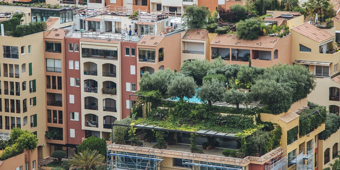 Trees growing alongside modern buildings, representing sustainable real estate development and environmentally responsible urban design.