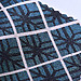 A close up image of blue and white fabric dyed with plant based pigment.