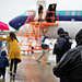 Mexico Repatriation Flight