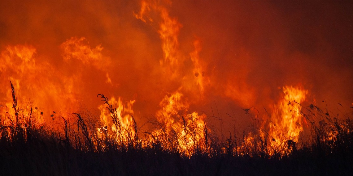 Huge flames burn down a forest against a dark sky.