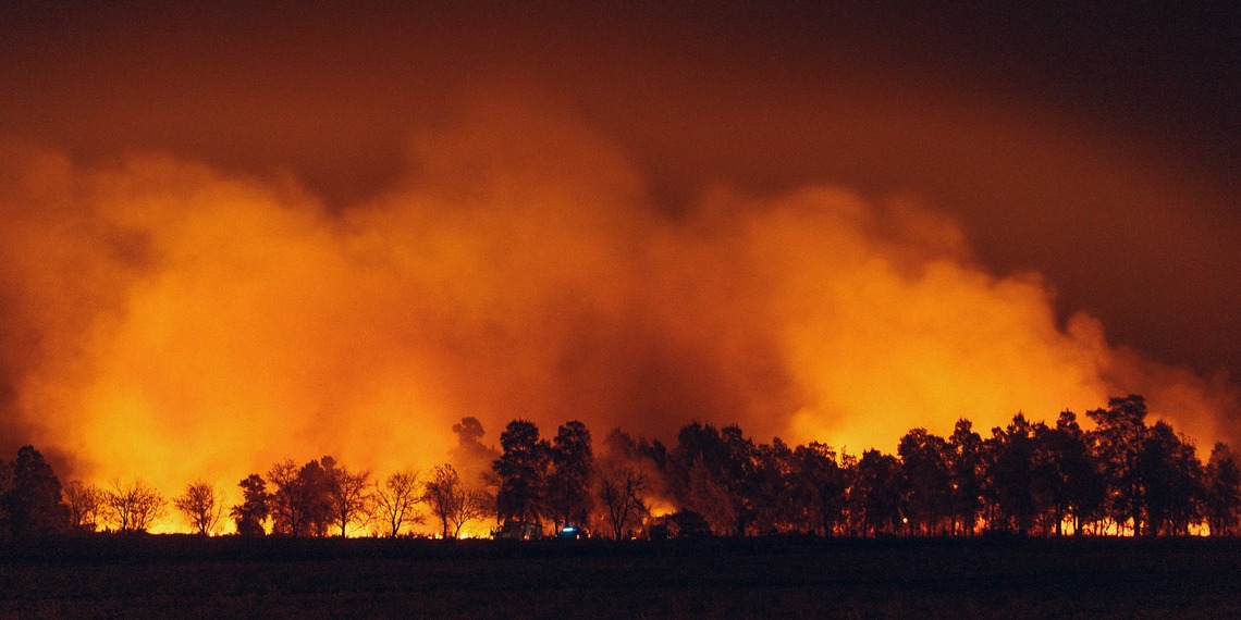 A picture of a wildfire blazing against the night sky.