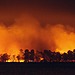 A picture of a wildfire blazing against the night sky.