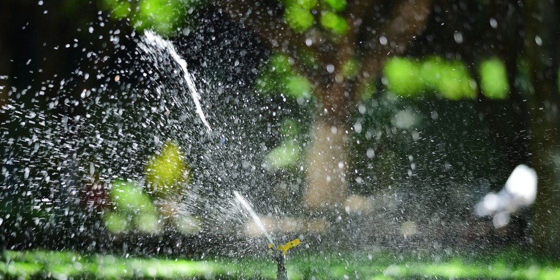 Garden sprinkler watering a green lawn during routine home maintenance