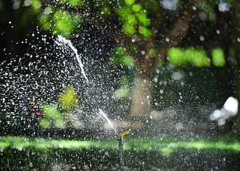 Garden sprinkler watering a green lawn during routine home maintenance