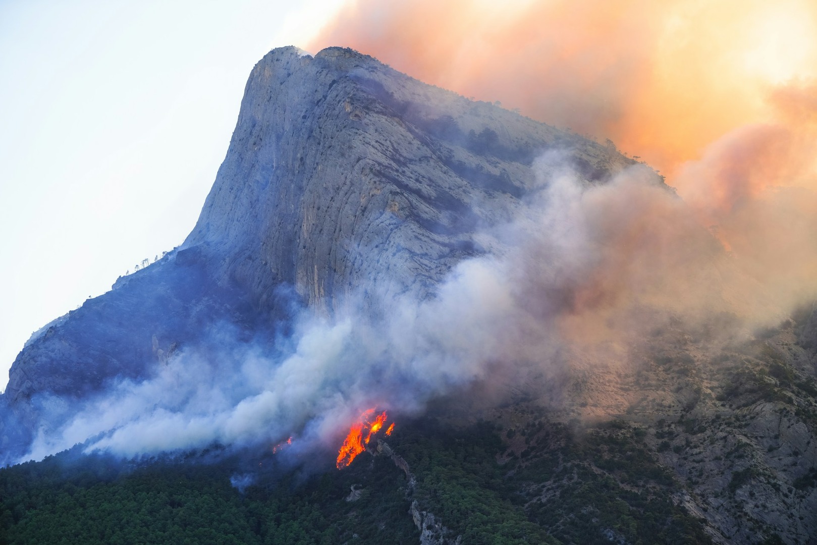 Wildfire in a forest in Spain