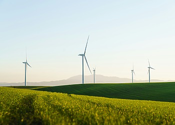 Wind turbines rising above a grassy field under an open sky