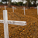 Burial site for Ebola victims during the 2014–2016 West Africa epidemic, Liberia, Jan. 26, 2015. Photo Credit: UNMEER / Martine Perret.