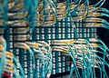 Blue, yellow, and white cables plugged into a patch panel in a server room.