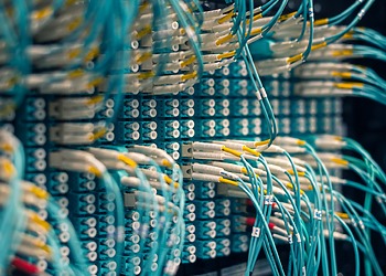Blue, yellow, and white cables plugged into a patch panel in a server room.