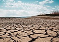 A picture of a dry landscape brought on by drought.