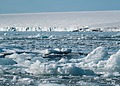 A picture of ice sheets melting due to climate change.